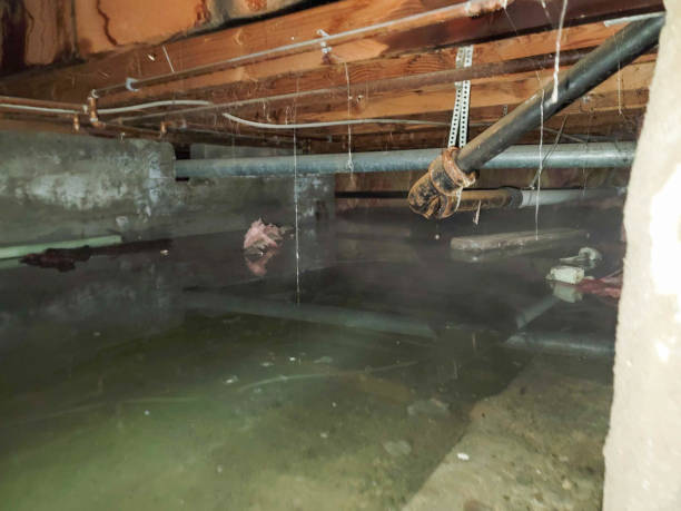 Best 24-hour water damage restoration  in Weston, WI