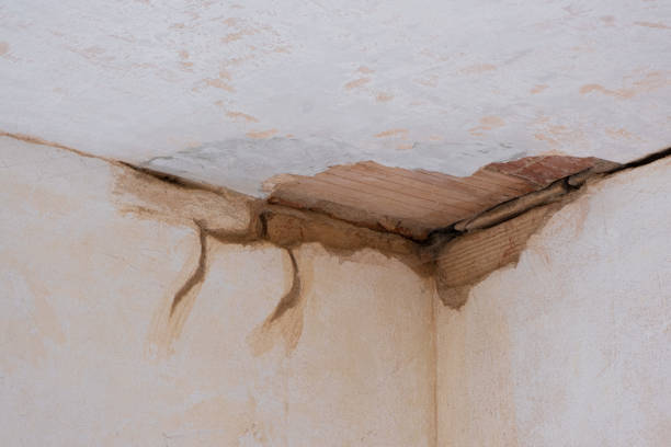 Best Water damage cleanup near me  in Weston, WI