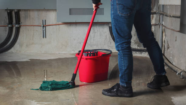 Best Water damage restoration near me  in Weston, WI