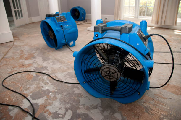  Weston, WI Water damage restoration Pros