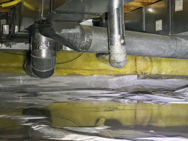 Best Professional water damage repair  in Weston, WI