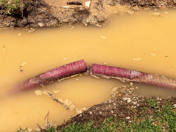 Best Water damage restoration experts  in Weston, WI
